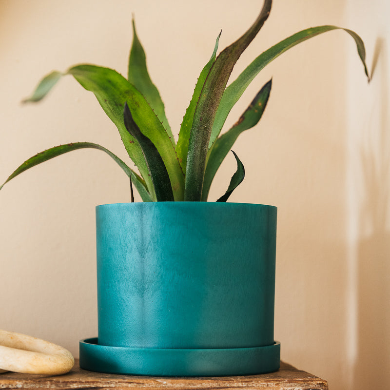 Matt Green Bloom Pot - Inverness Rope