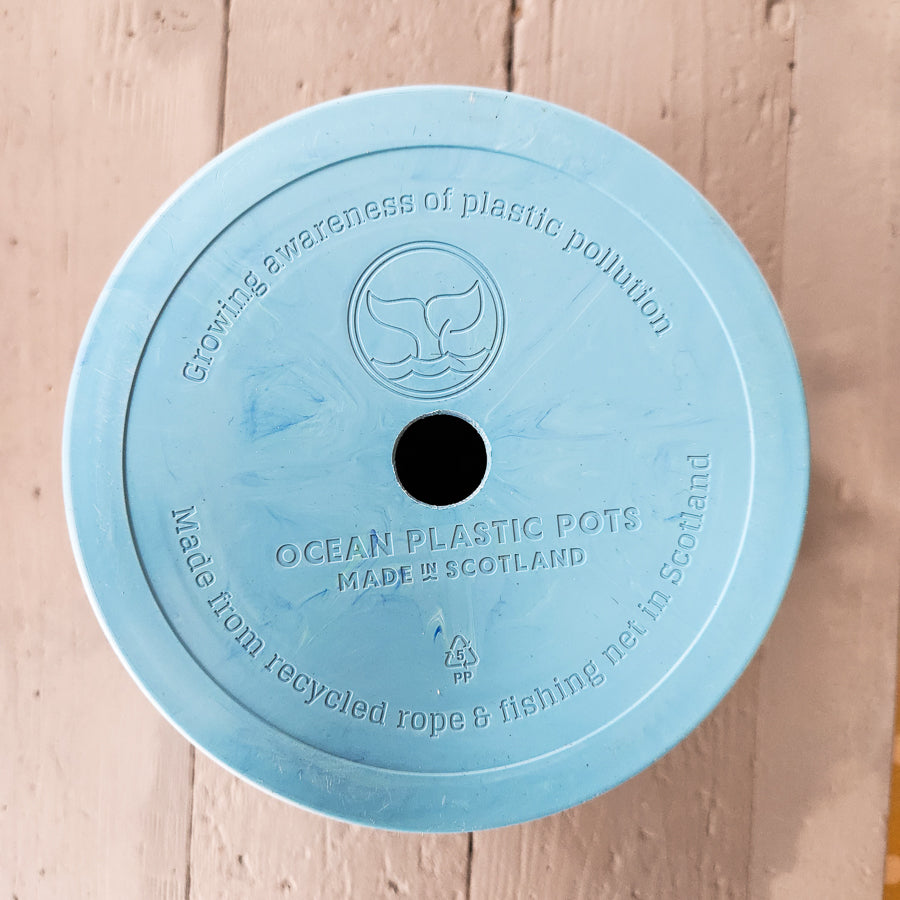 Light Blue Orka 15cm Ocean Plastic Pot -  Blue Rope.