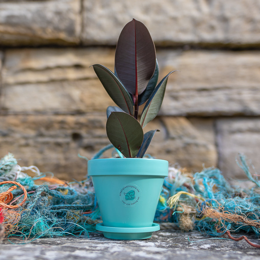 Products – Ocean Plastic Pots