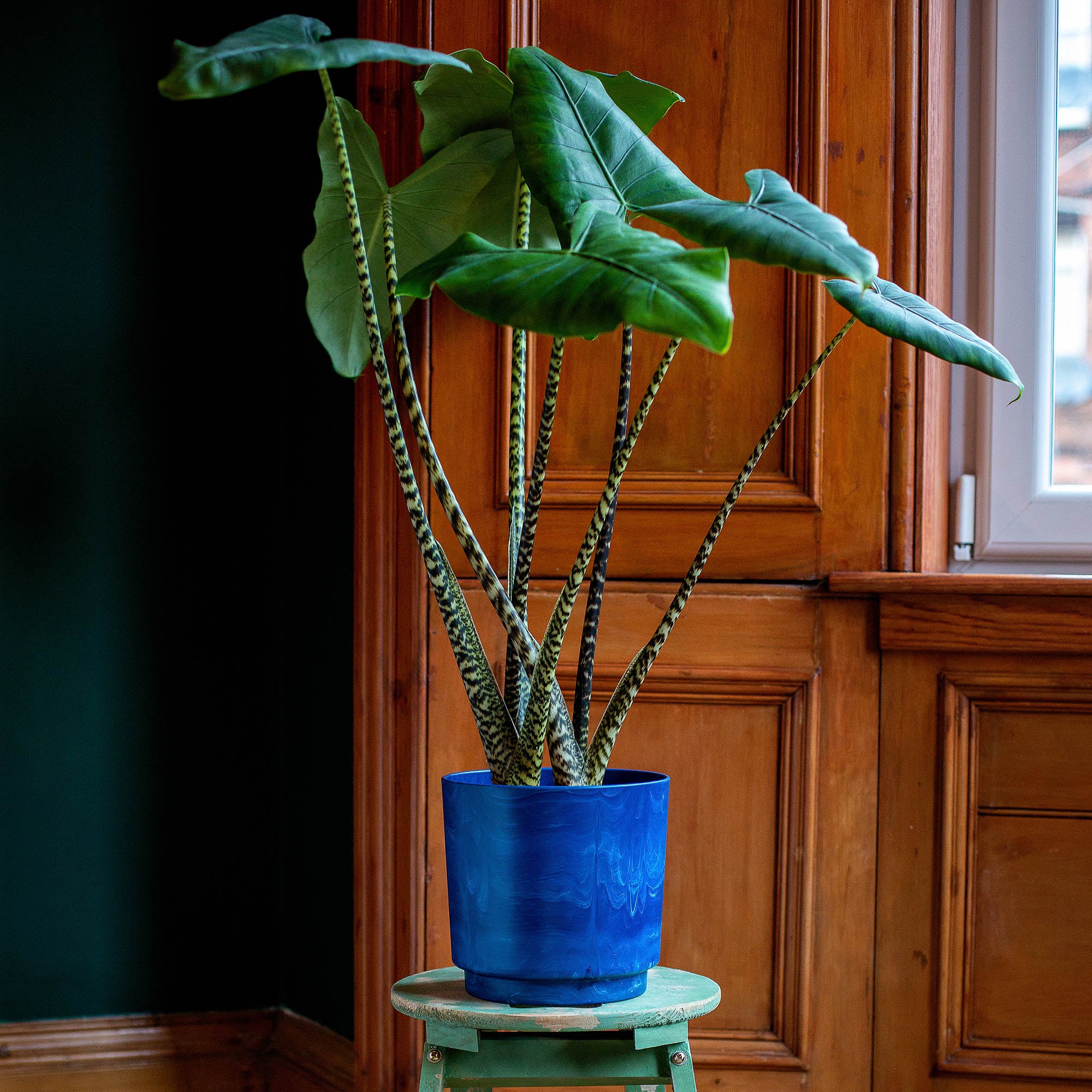 Storr Navy Wave Ocean Plastic Pot Made in Scotland from 100% Recycled Rope. 