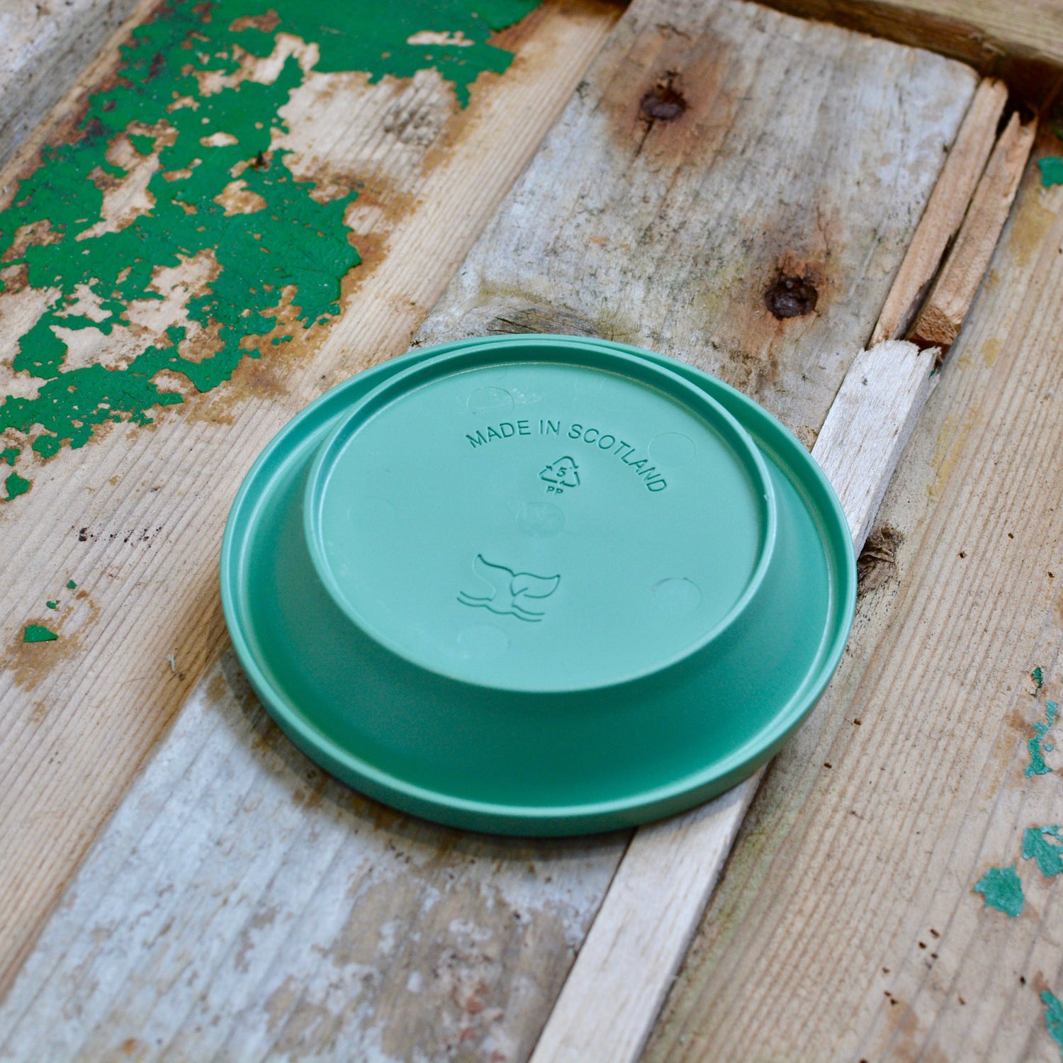 Chelsea Pot &amp; Saucer Set in Mint Green (13cm)